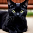 Onlyfans leaked aguirre 

 profile picture