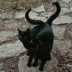 alittlelace OnlyFans Leak (49 Photos and 32 Videos) 

 profile picture