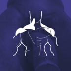 Get Free access to @andreshenri (Andres Henri) Leaked OnlyFans 

 profile picture