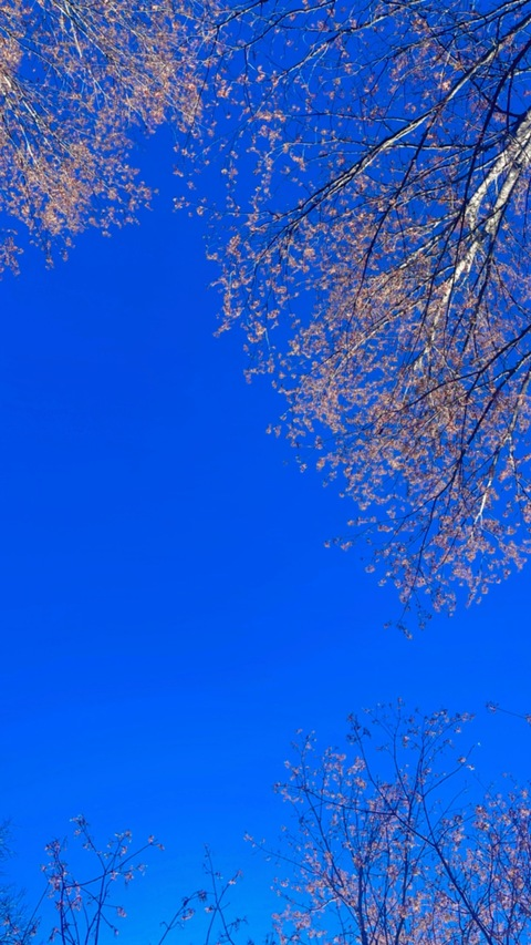 Header of annoymous16