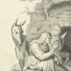 apuleius1904 OnlyFans Leaked 

 profile picture