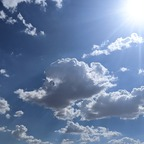 View azdodgerfan1984 OnlyFans videos and photos for free 

 profile picture