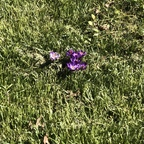 Download bb_dev OnlyFans videos and photos for free 

 profile picture