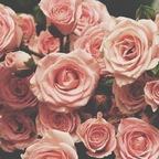 View BB~Marie (bbmarie413) OnlyFans 49 Photos and 32 Videos leaks 

 profile picture