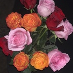 bexxx16 OnlyFans Leak (49 Photos and 32 Videos) 

 profile picture