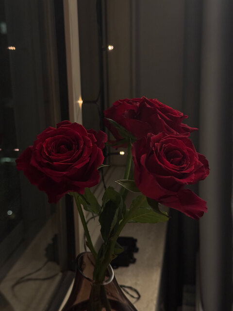 Header of bluemingforever