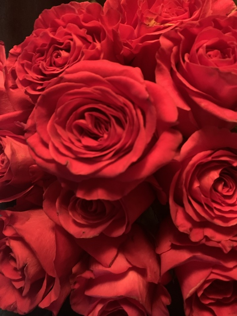 Header of boobear68