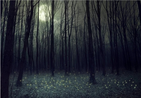 Header of boogeyoogeyx