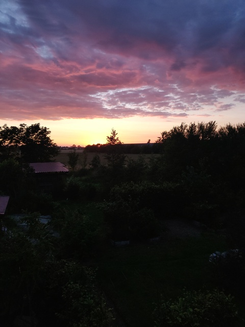 Header of boytoyoflou