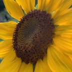 browneyedbeauty1116 OnlyFans Leaks (49 Photos and 32 Videos) 

 profile picture