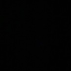 caeliafox OnlyFans Leaks 

 profile picture