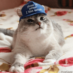 catinthebluehat (Cat) OnlyFans Leaked Content 

 profile picture