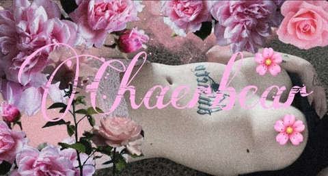 Header of chaerbear