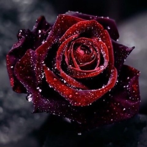 Header of cherry_magdalene666