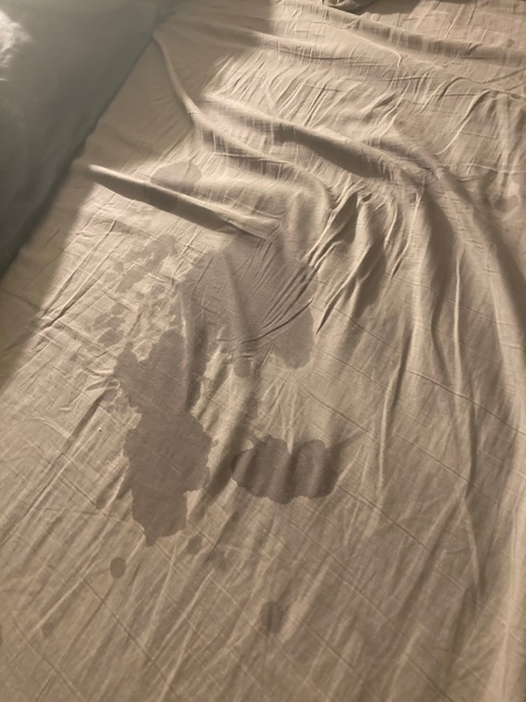 Header of chippenbeth