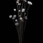 New @codiryann1207 leak Onlyfans photos free 

 profile picture