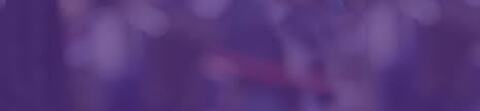 Header of courtneey14