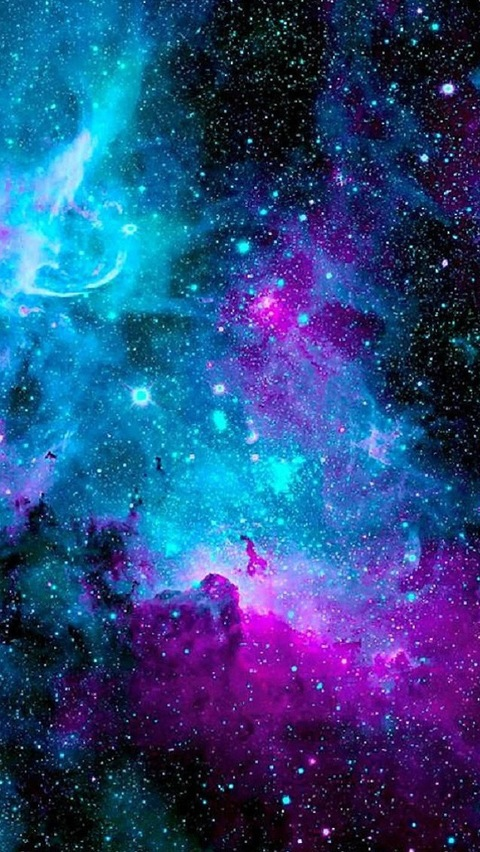 Header of crazycatdude