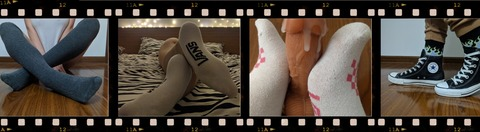 Header of daisysocksfeetvip