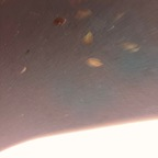 Get Free access to @danibabyr (DaniBabyR) Leaks OnlyFans 

 profile picture