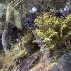 darae profile picture