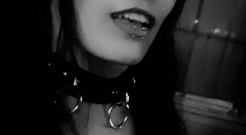 Header of dominokitten