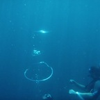 New @dshow82 leaked Onlyfans videos and photos for free 

 profile picture