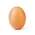 egg_slut profile picture