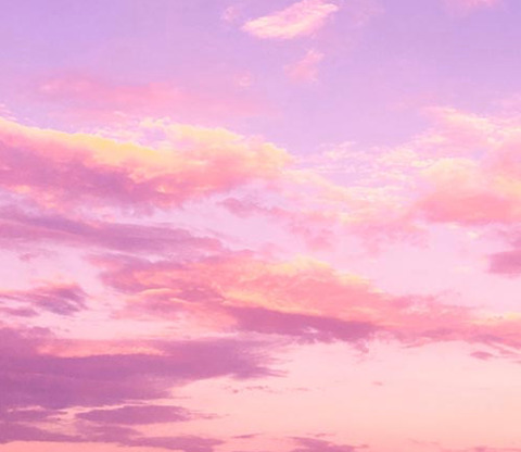 Header of exoticpastel