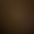 Onlyfans leak f0xxxybrown 

 profile picture