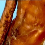 View ghostlaysit OnlyFans videos and photos for free 

 profile picture