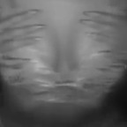 girlexotic4 OnlyFans Leaks (49 Photos and 32 Videos) 

 profile picture