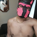 Onlyfans leaks gummipup 

 profile picture