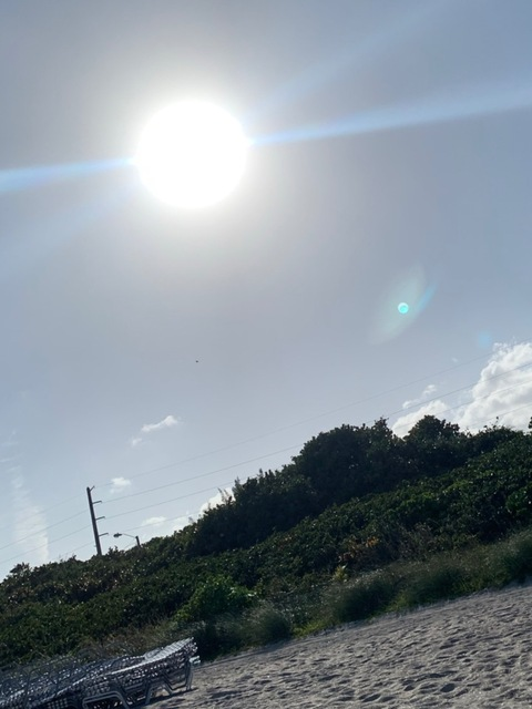 Header of holtnangel