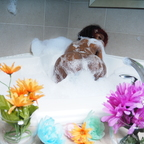 honeybrowncoco OnlyFans Leaks (49 Photos and 36 Videos) 

 profile picture