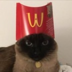 human0n3arth OnlyFans Leaks (134 Photos and 32 Videos) 

 profile picture