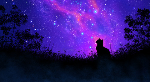 Header of imkittenpaw