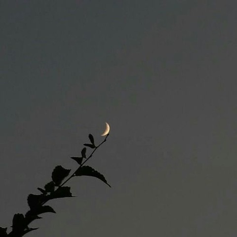 Header of itscloudnine