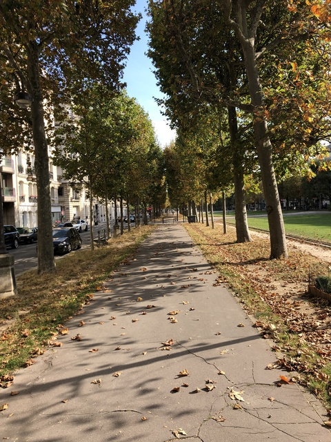 Header of jamesexotique