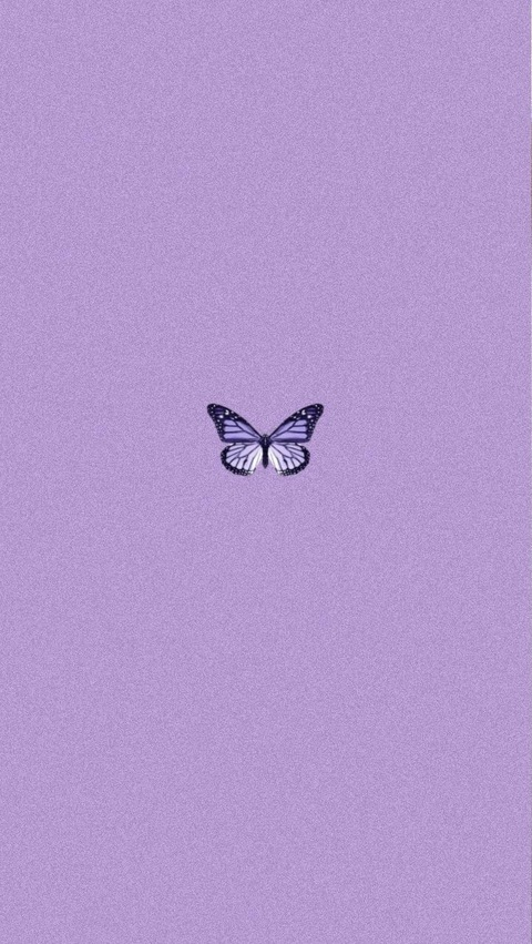 Header of kalikalmdown