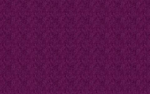 Header of katie-lee25