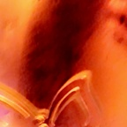 keytanawins (KeytanaeatsMarshmallows) free OnlyFans Leaked Videos and Pictures 

 profile picture