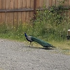 View Need it dirty (kinkyfantasylover) OnlyFans 49 Photos and 32 Videos leaks 

 profile picture