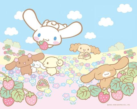 Header of korean-kitty