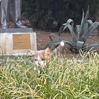 New @lalelerbeyaz leak Onlyfans videos and photos for free 

 profile picture