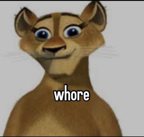 Header of lilrosequartz
