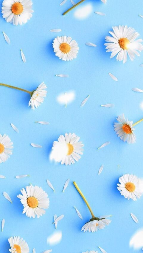Header of littlemischiefxo