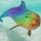 llewellyn profile picture