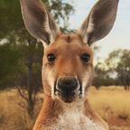 Free access to @lmpphoto Leaks OnlyFans 

 profile picture