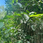 lolaaanizzyyy OnlyFans Leaks (49 Photos and 32 Videos) 

 profile picture